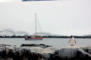 Milo Dahlmann Antarktis